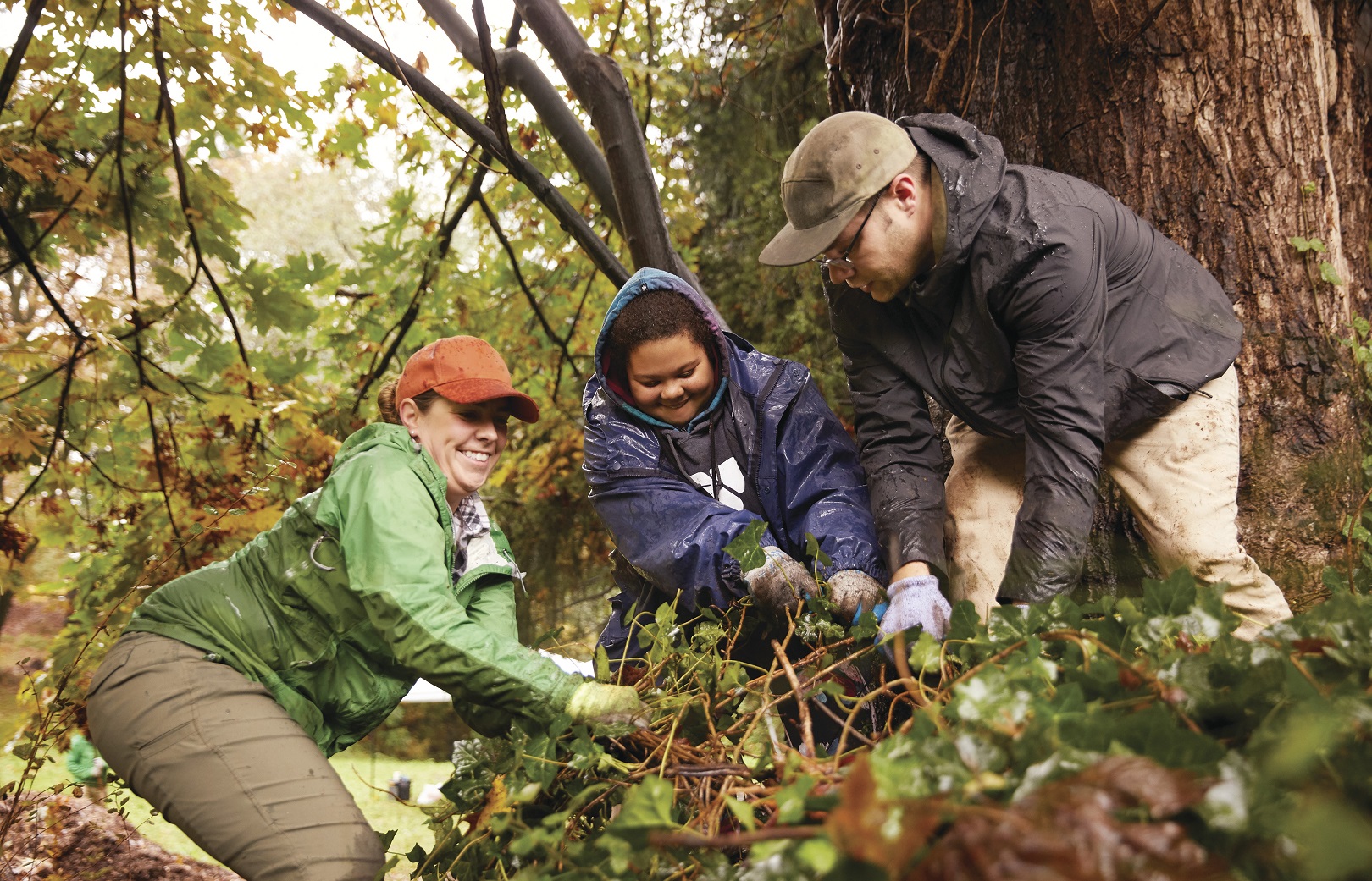 YMCA Louisville members clearing brush for local volunteer opportunities