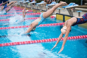 YMCA Louisville swim team members diving YMCA Louisville swim team members diving