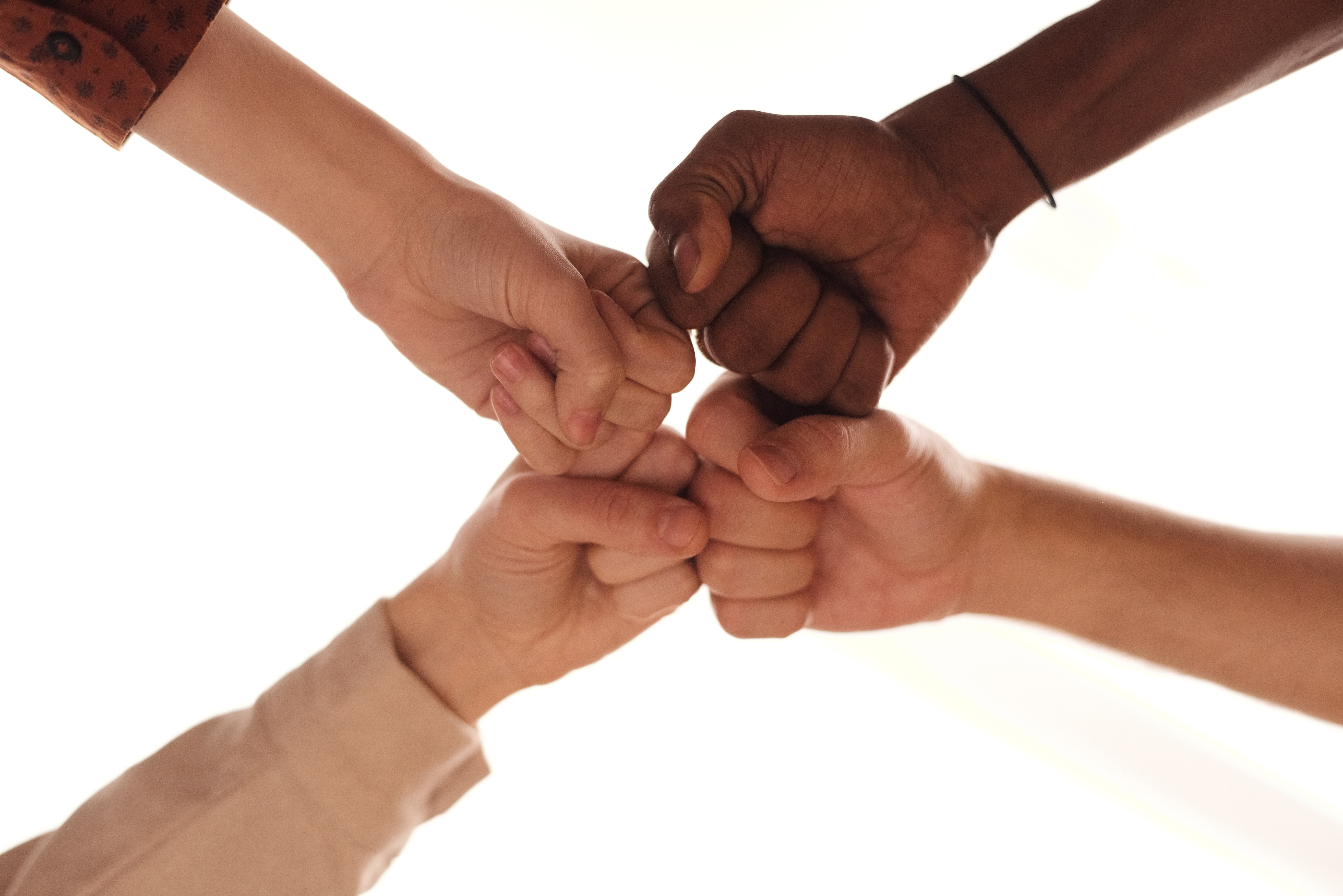 Four hands fist-bumping together in a sign of teamwork Four hands fist-bumping together in a sign of teamwork