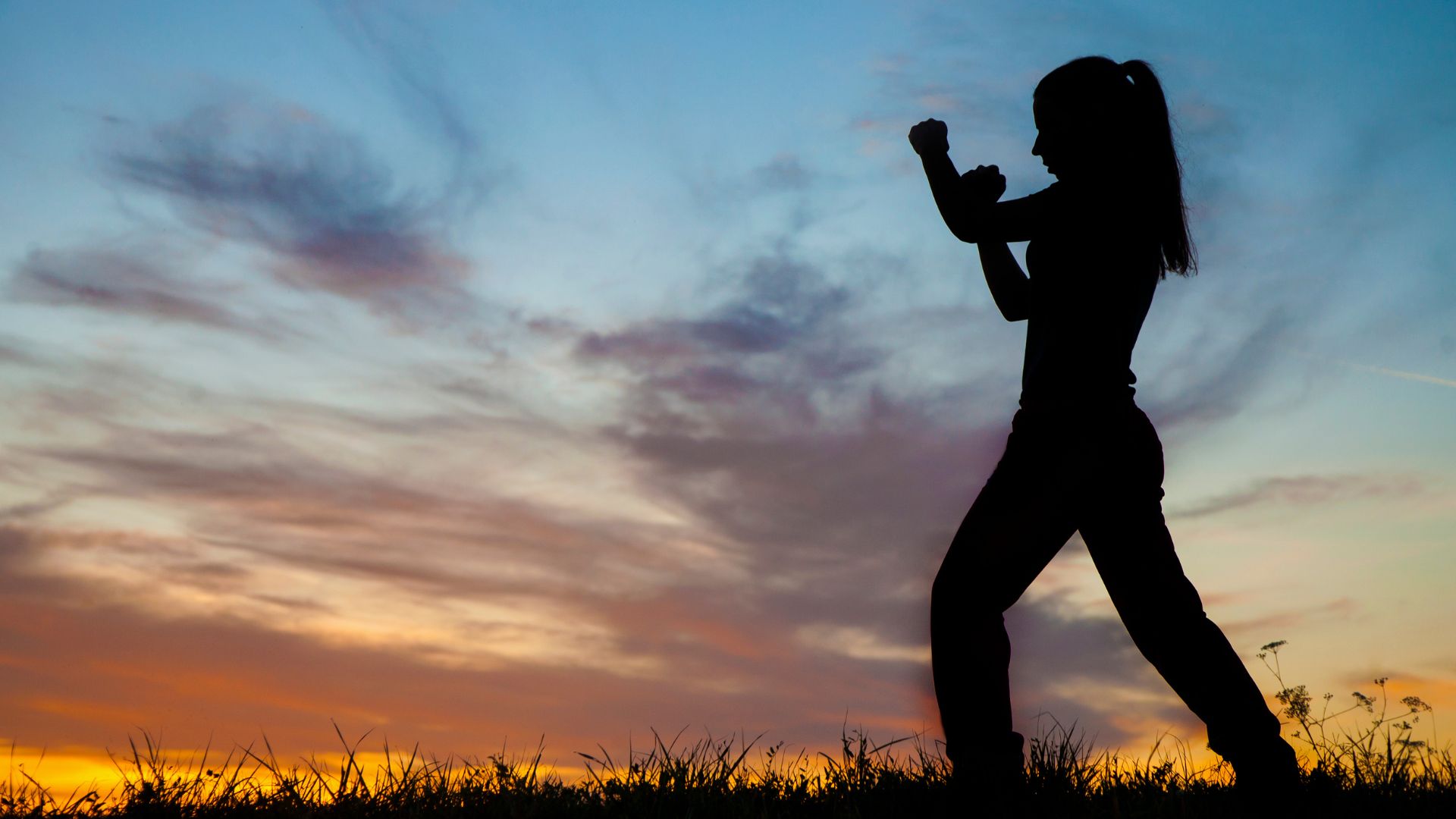 Silhouette of person practicing self-defense moves Silhouette of person practicing self-defense moves