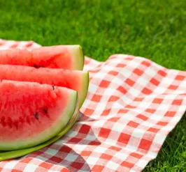 Picnic
