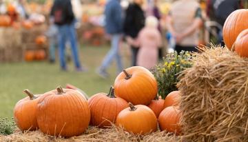 Fall Festival